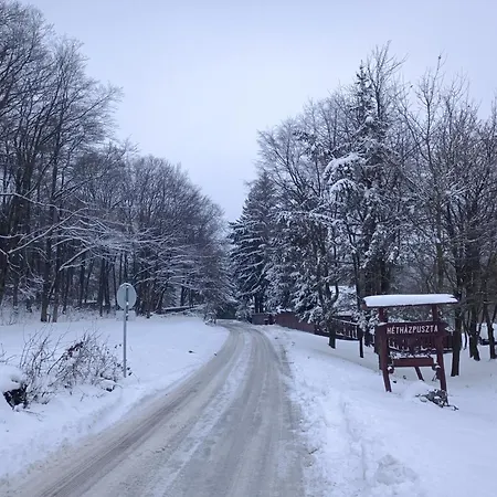 בית הארחה Hethazpuszta Erdeszlak 3*