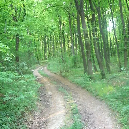 בית הארחה Hethazpuszta Erdeszlak 3*