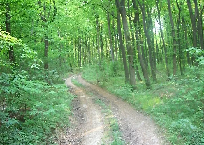 Gæstehus Hethazpuszta Erdeszlak 3*